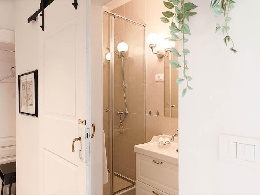 Apartment Loft Bed With Free Parking, 2 Bikes! Self Check In, Wi-fi, Ac Pula